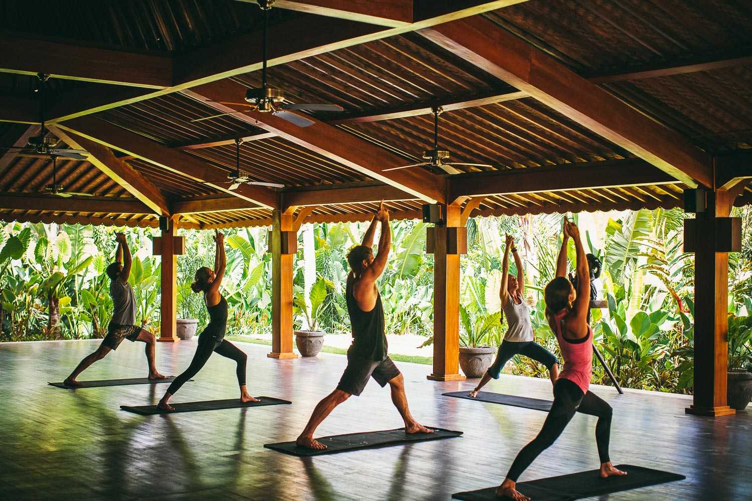 Iyengar Yoga Retreats & Iyoga